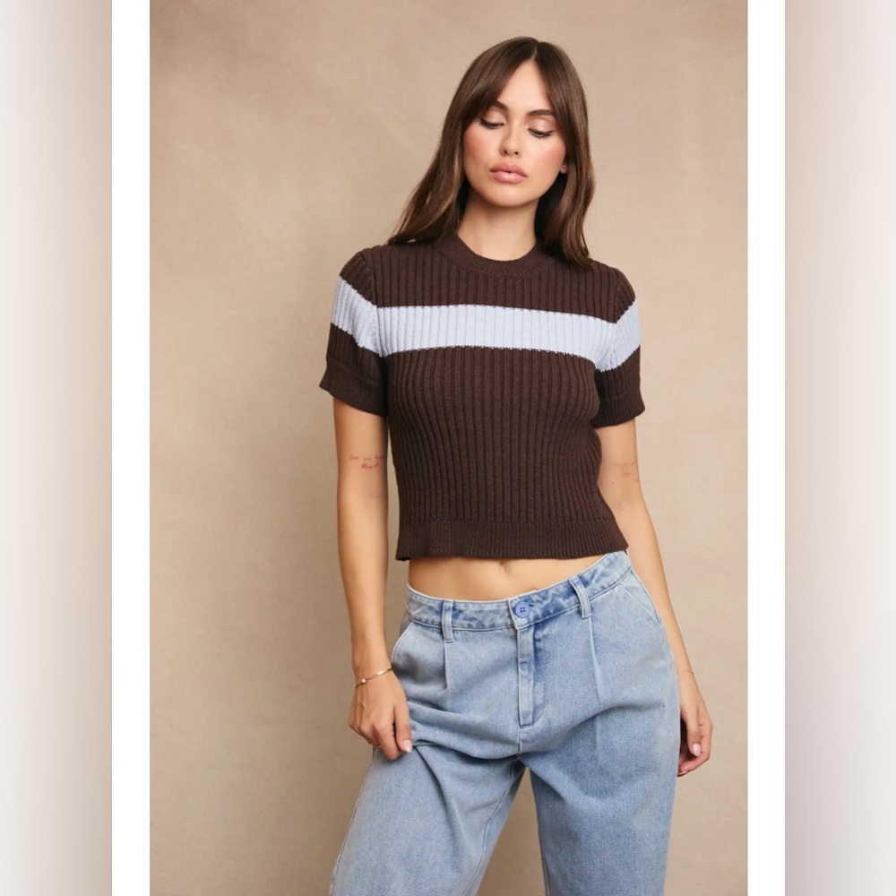 Le Lis Chocolate and Baby Blue Striped Crop Short Sleeve Sweater
